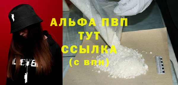 СК Абинск