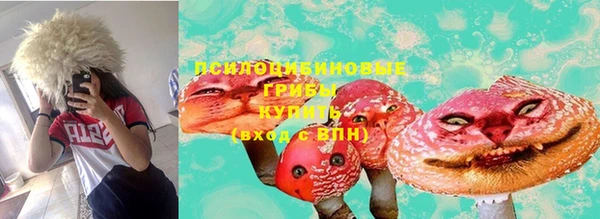 СК Абинск
