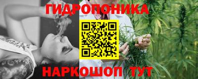 a pvp Кунгур