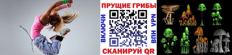 kraken как зайти  Зерноград  Псилоцибиновые грибы мицелий 