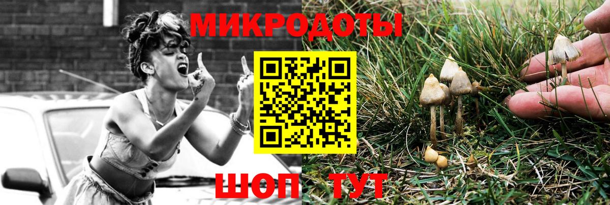 Зерноград  Галлюциногенные грибы Psilocybine cubensis  Вход с VPN 